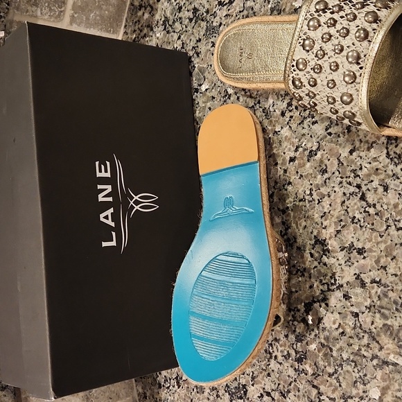 LANE SLIDES - Picture 3 of 8